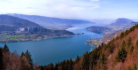 Alpine Property, Agence Immobilière à Thônes
