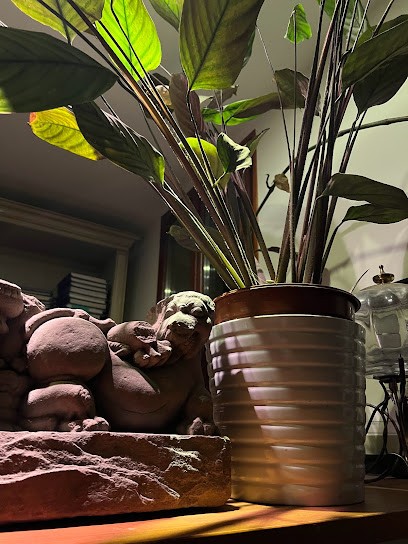 Cabinet BELLAJUAN, Syndic, Agence Immobilière à Thiverval-Grignon