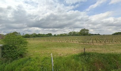 Du Gourdin Sci, Agence Immobilière à Mauriac