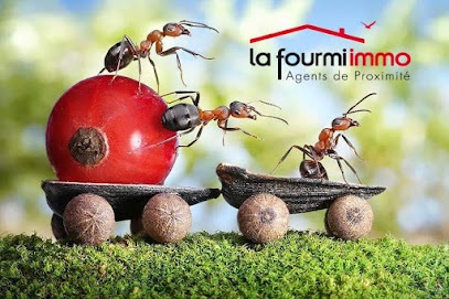 La Fourmi-Immo Christine Seguin Aurin, Agence Immobilière à Aurin