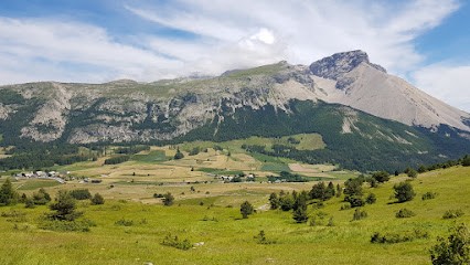 TRASSUDIMMOBILIER Petit Geneviève, Agence Immobilière à Dévoluy