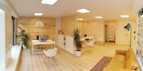Vidya Immobilier, Agence Immobilière à Troyes