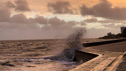 Alexandre CARDOCHE Immobilier Lagord, La Rochelle, Agence Immobilière à Lagord