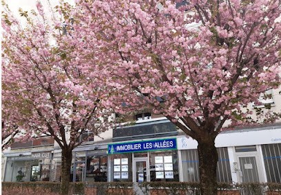 Immobilier Les Allées, Agence Immobilière à Montrouge