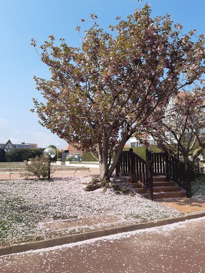 Syndicat Copropriété Résidence Sévigné, Agence Immobilière à Deauville