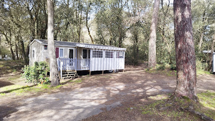 Mobil-Home À Vendre Clement Agence Immobilière à Seignosse