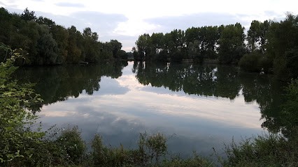 La Drêve Du Château - Mérignies, Agence Immobilière à Mérignies