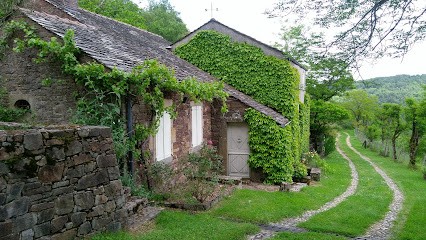 Sud France Propriete, Agence Immobilière à Réquista