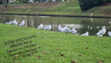 David Mesmacque Stratégie Immobilier DMSC-INT, Agence Immobilière à Meulan-en-Yvelines