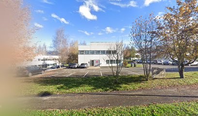 Savoy Roche International, Agence Immobilière à Chavanod