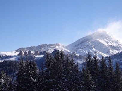Agence Immobilière ADL, Agence Immobilière à Morzine