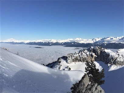 Franck Martenon Immobilier, Agence Immobilière à Entremont-le-Vieux