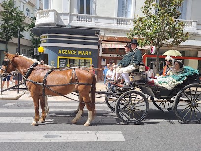 Agence Mary, Agence Immobilière à Vichy