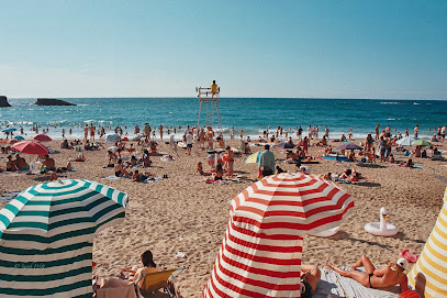 Oporona Agence Immobilière à Biarritz