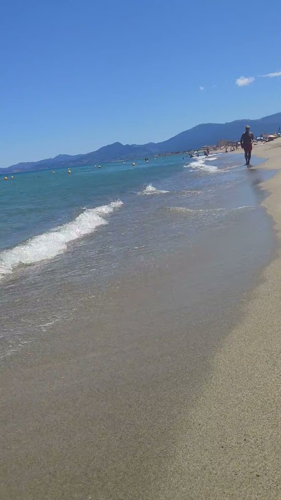 Languedoc Roussillon Properties, Agence Immobilière au Boulou