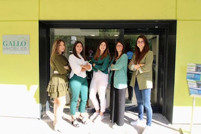 GALLO IMMOBILIER, Agence Immobilière à Villefontaine