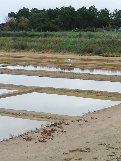 Cabinet Beugnot SaS, Agence Immobilière à Nevers