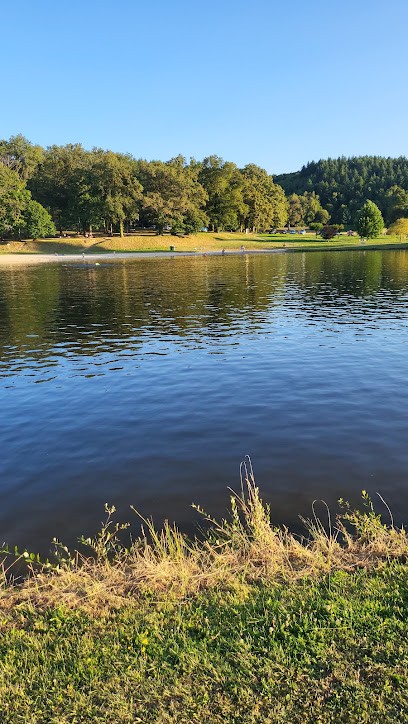 LAFORET COGNAC, Agence Immobilière à Cognac