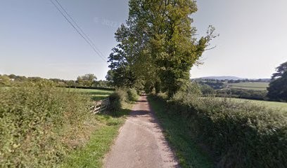 Didier MOREL CAPIFRANCE, Agence Immobilière à Saint-Maurice-lès-Châteauneuf