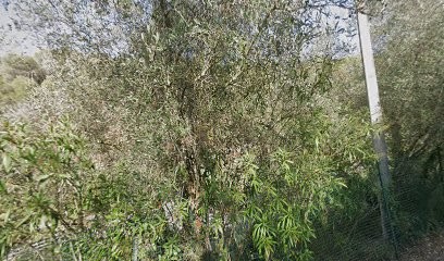 Côte d'Azur Habitat, Agence Immobilière à La Trinité