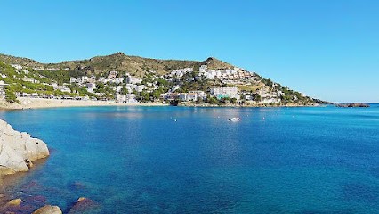 Picard Immobilier, Agence Immobilière à Saint-Estève