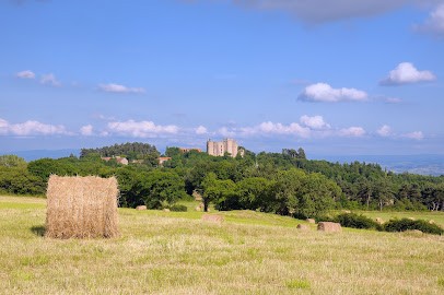 Auvergne Properties, Agence Immobilière à Mariol