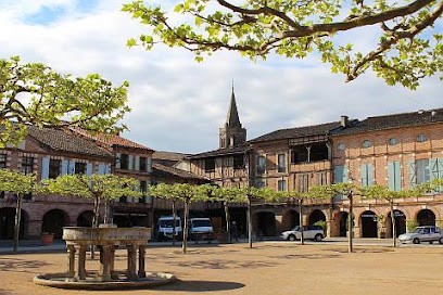 Patricia KIRNER - SAFTI, Agence Immobilière à Gaillac