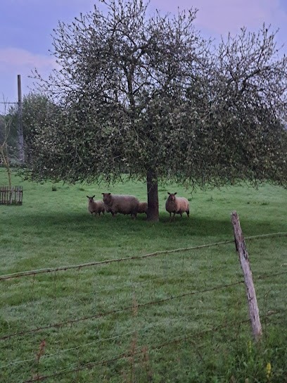 ABH INVESTISSEMENTS, Agence Immobilière à Château-Gontier