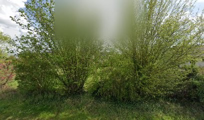 Thierry FIEVRE - IMMOBILIER - Varennes-sur-Loire - 49730 - Proprietes-privees.com, Agence Immobilière à Varennes-sur-Loire