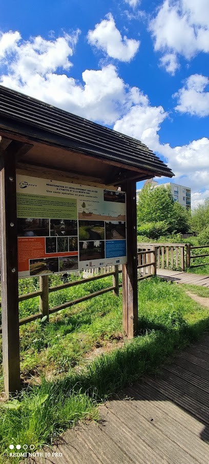 Pelagiya DURCHEVA Immobilier Longjumeau Proprietes-privees.com, Agence Immobilière à Longjumeau