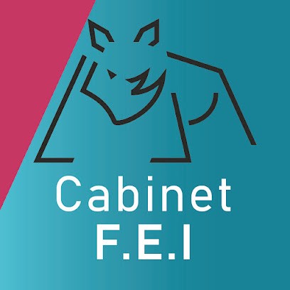 Cabinet F.E.I, Agence Immobilière à Saint-Maximin-la-Sainte-Baume