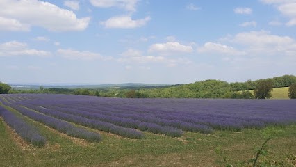 Tout L'immobilier, Agence Immobilière à Coeur de Causse