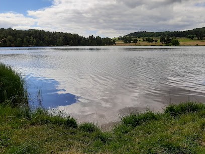 Aubrac Margeride Immobilier, Agence Immobilière à Saint-Chély-d'Apcher