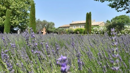 Maurice Garcin, Agence Immobilière à Pernes-les-Fontaines