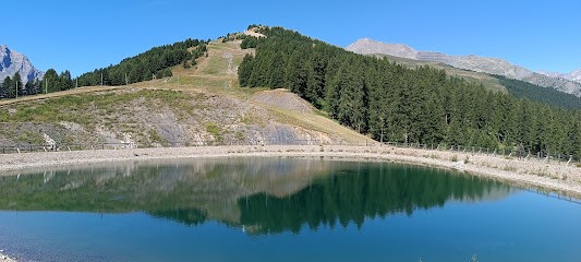 Snow Tops & Real Estate, Agence Immobilière à Puy-Saint-Vincent