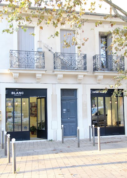 Blanc Immobilier, Agence Immobilière à Lattes