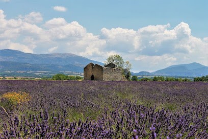 Premium gestion, Agence Immobilière à Gardanne