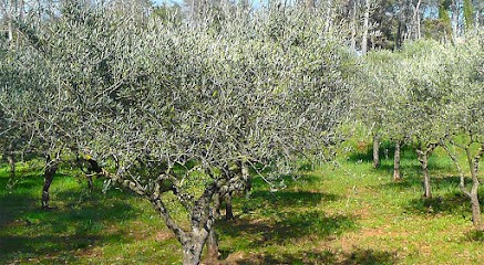 L'Exclusive Immo, Agence Immobilière aux Arcs