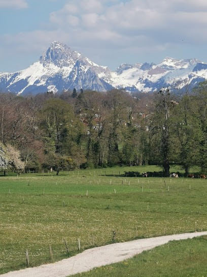 Julien Zoulias Conseiller Immobilier SAFTI, Agence Immobilière à Larringes