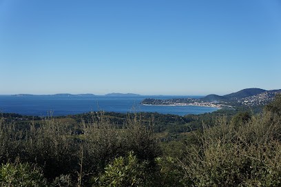 Riviera Immobilier Real Estate, Agence Immobilière à La Croix-Valmer