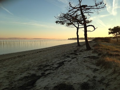 Agence goodweek, Agence Immobilière au Bouscat