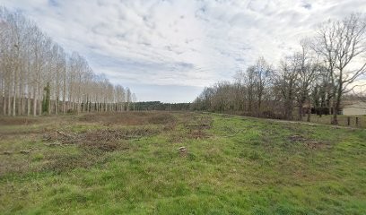 Immobilier La Brède Optimhome Isabelle DUPRAZ, Agence Immobilière à La Brède