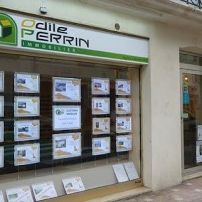 NEYRAT IMMOBILIER - Odile Perrin St Jean De Losne, Agence Immobilière à Saint-Jean-de-Losne