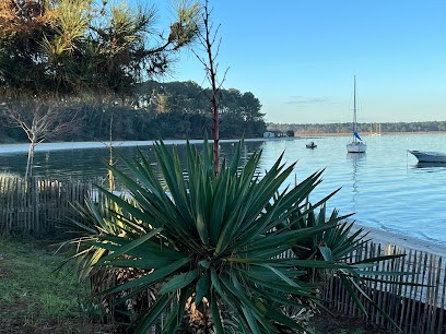 Agence Caroline Chat Immobilier, Agence Immobilière à Lège-Cap-Ferret