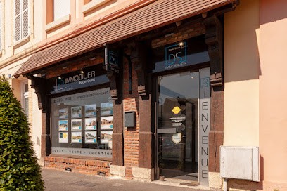 DS IMMOBILIER, Agence Immobilière à Pavilly