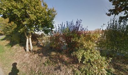 Achat, Vente Immobilier Monsireigne - Isabelle Chateigner IAD FRANCE, Agence Immobilière à Monsireigne