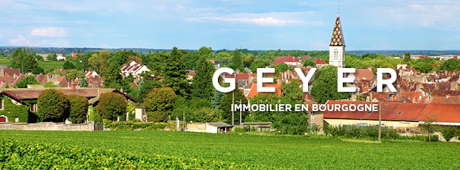 IMMO GEYER BOURGOGNE, Agence Immobilière à Coulanges-sur-Yonne