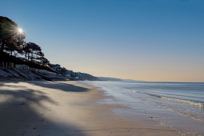 BARNES PYLA SUR MER, Agence Immobilière à La Teste-de-Buch