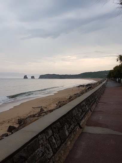 Synd Coproprietaires Residence Atlanta, Agence Immobilière à Hendaye