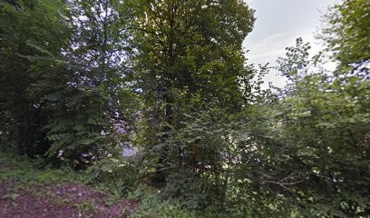 Guerre-Chaley Gisèle, Agence Immobilière à Saint-Laurent-du-Pont